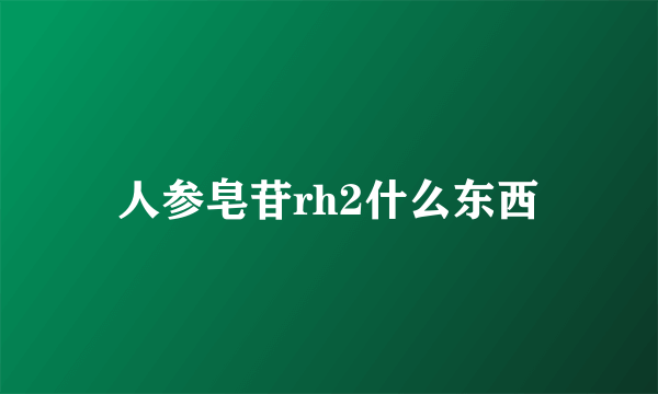 人参皂苷rh2什么东西