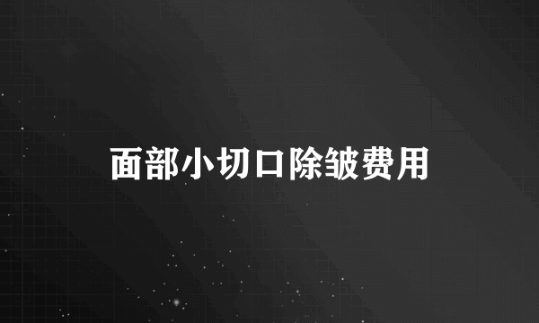 面部小切口除皱费用