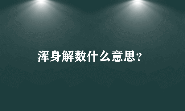 浑身解数什么意思？