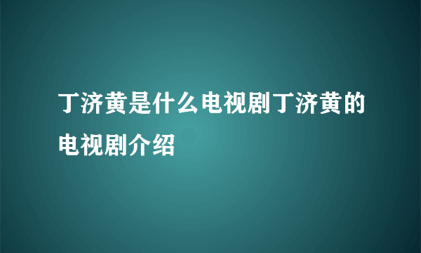 丁济黄是什么电视剧丁济黄的电视剧介绍