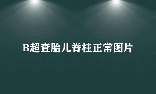 B超查胎儿脊柱正常图片