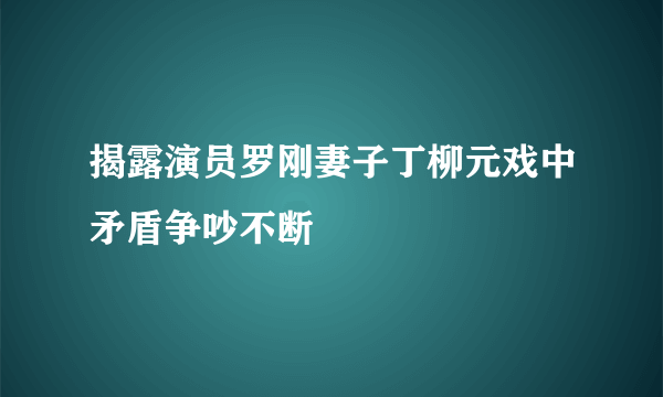 揭露演员罗刚妻子丁柳元戏中矛盾争吵不断