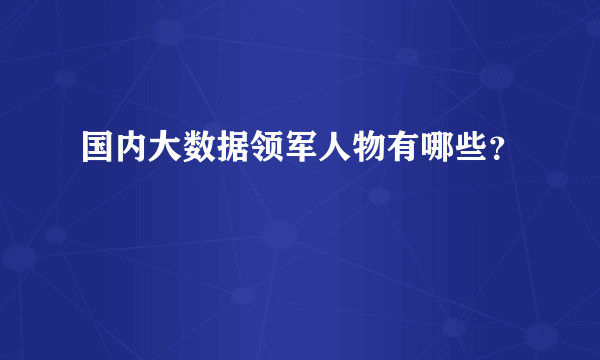 国内大数据领军人物有哪些？