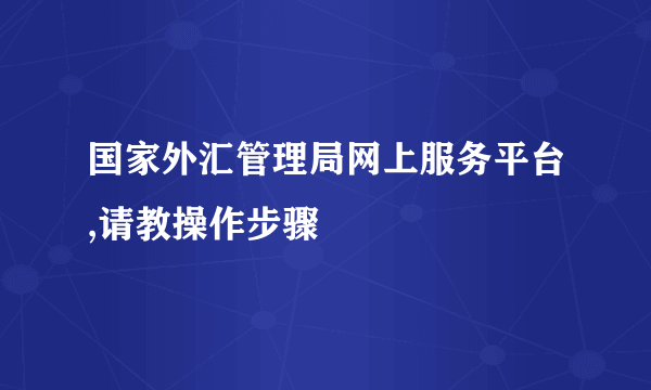 国家外汇管理局网上服务平台,请教操作步骤