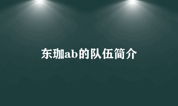 东珈ab的队伍简介