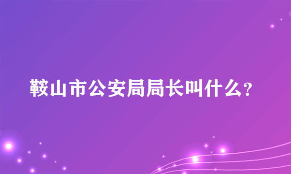 鞍山市公安局局长叫什么？