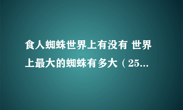 食人蜘蛛世界上有没有 世界上最大的蜘蛛有多大（25cm） 