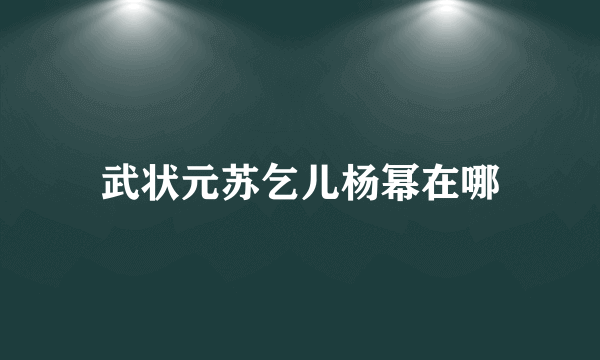 武状元苏乞儿杨幂在哪