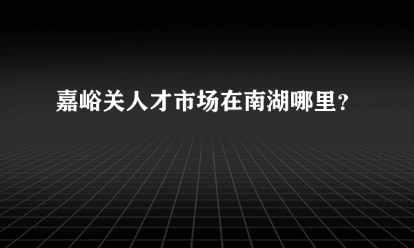 嘉峪关人才市场在南湖哪里？