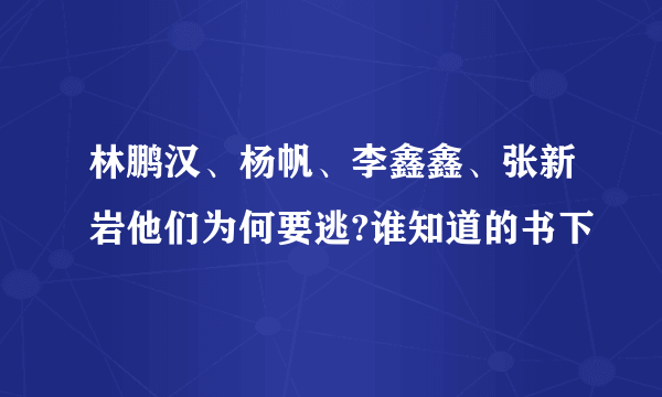 林鹏汉、杨帆、李鑫鑫、张新岩他们为何要逃?谁知道的书下