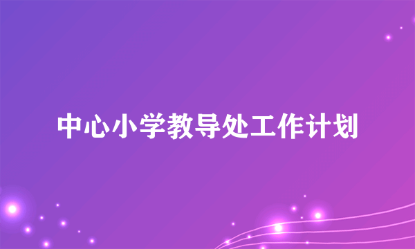 中心小学教导处工作计划