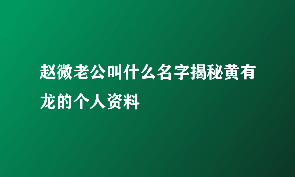 赵微老公叫什么名字揭秘黄有龙的个人资料