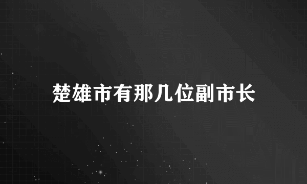 楚雄市有那几位副市长