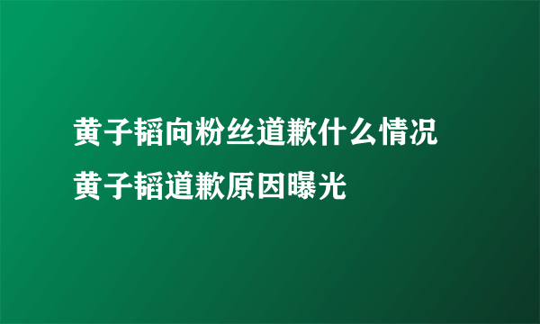 黄子韬向粉丝道歉什么情况 黄子韬道歉原因曝光