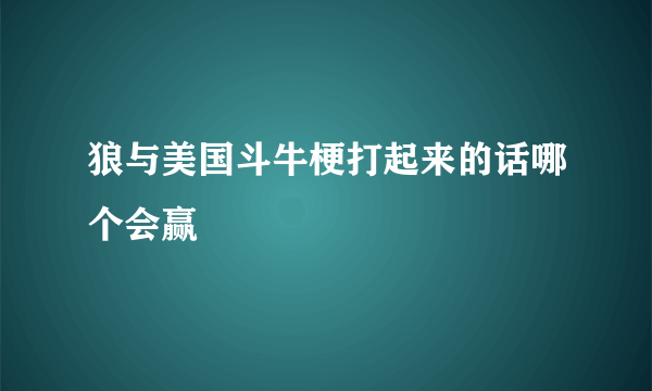 狼与美国斗牛梗打起来的话哪个会赢