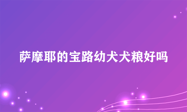 萨摩耶的宝路幼犬犬粮好吗