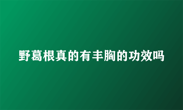 野葛根真的有丰胸的功效吗