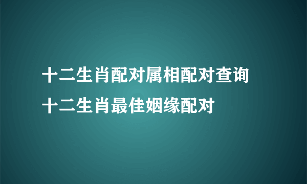 十二生肖配对属相配对查询 十二生肖最佳姻缘配对