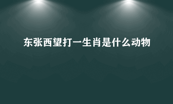 东张西望打一生肖是什么动物