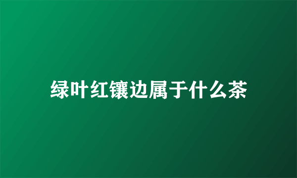 绿叶红镶边属于什么茶