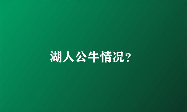 湖人公牛情况？