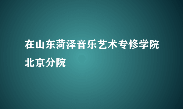 在山东菏泽音乐艺术专修学院北京分院