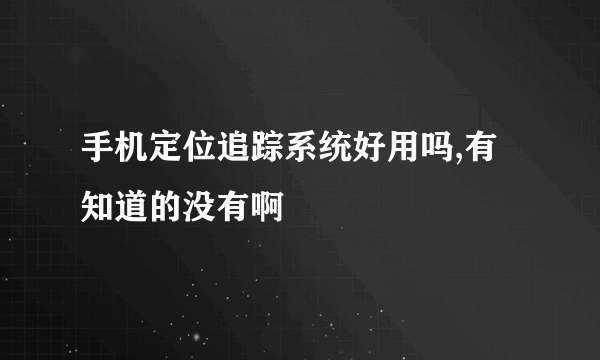 手机定位追踪系统好用吗,有知道的没有啊