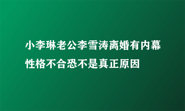 小李琳老公李雪涛离婚有内幕性格不合恐不是真正原因