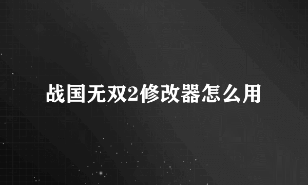 战国无双2修改器怎么用