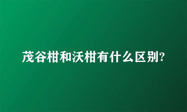 茂谷柑和沃柑有什么区别?