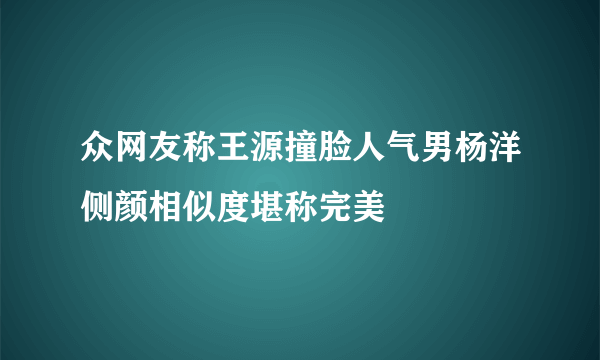 众网友称王源撞脸人气男杨洋侧颜相似度堪称完美