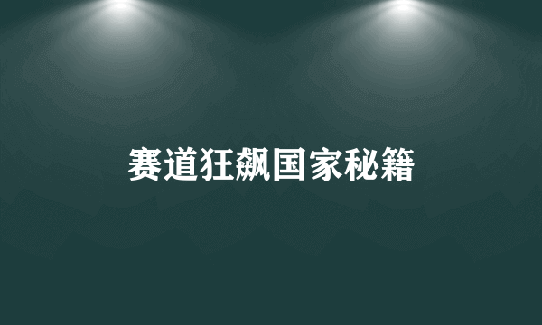 赛道狂飙国家秘籍