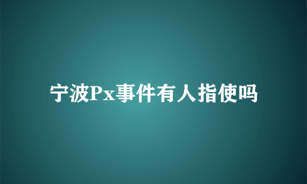 宁波Px事件有人指使吗