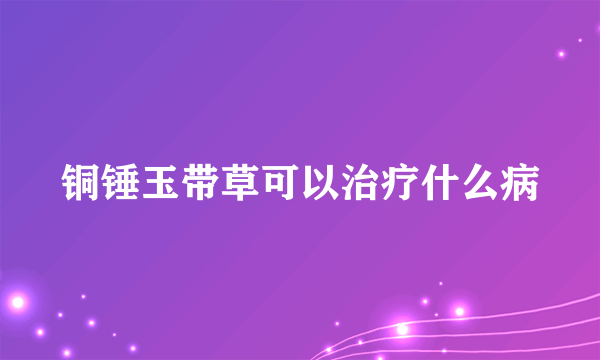 铜锤玉带草可以治疗什么病