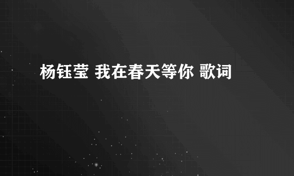 杨钰莹 我在春天等你 歌词