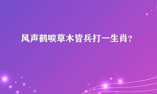 风声鹤唳草木皆兵打一生肖？