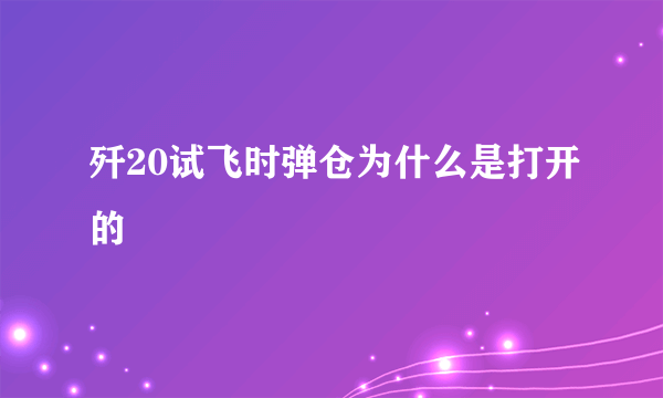 歼20试飞时弹仓为什么是打开的