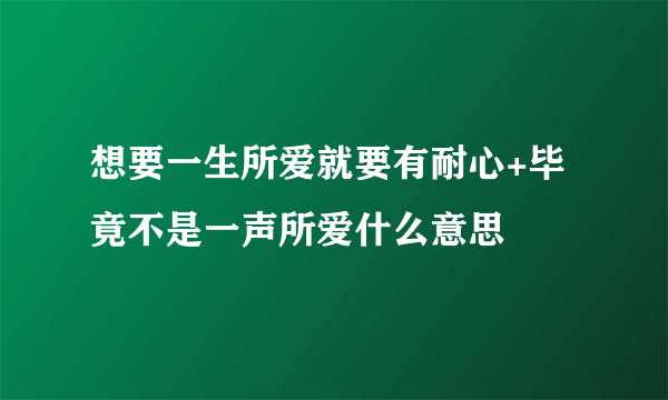 想要一生所爱就要有耐心+毕竟不是一声所爱什么意思