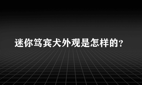 迷你笃宾犬外观是怎样的？