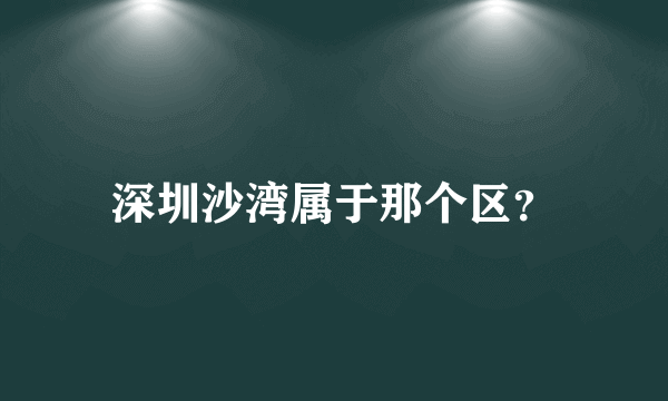 深圳沙湾属于那个区？