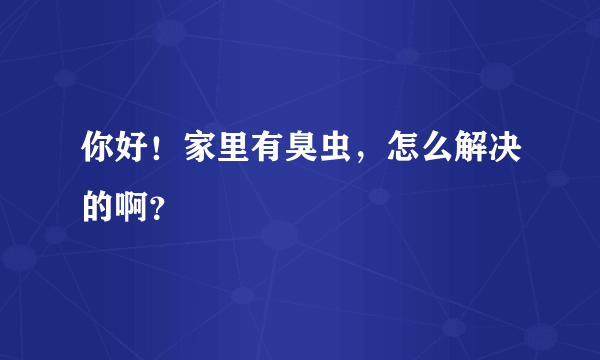 你好！家里有臭虫，怎么解决的啊？