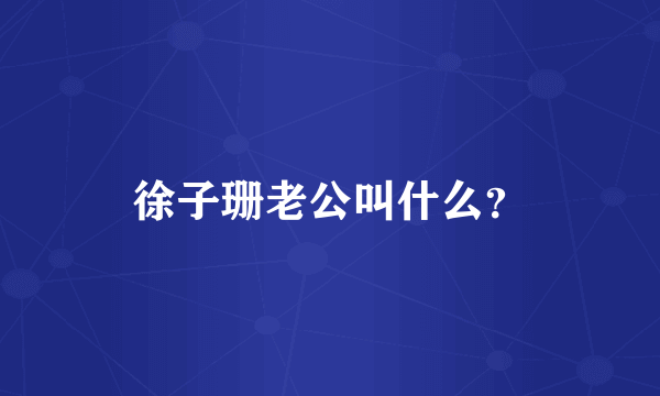 徐子珊老公叫什么？