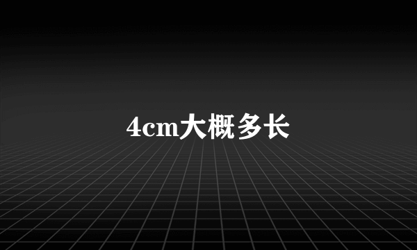 4cm大概多长