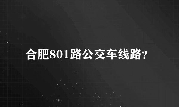 合肥801路公交车线路？