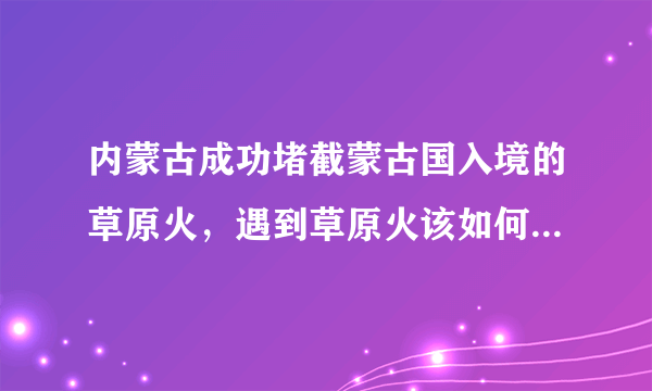 内蒙古成功堵截蒙古国入境的草原火，遇到草原火该如何避险与自救？