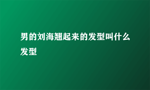 男的刘海翘起来的发型叫什么发型