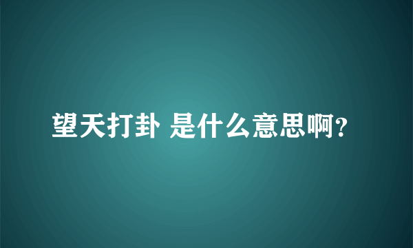 望天打卦 是什么意思啊？