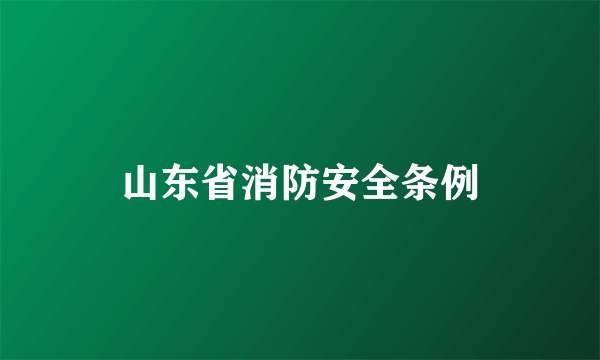 山东省消防安全条例