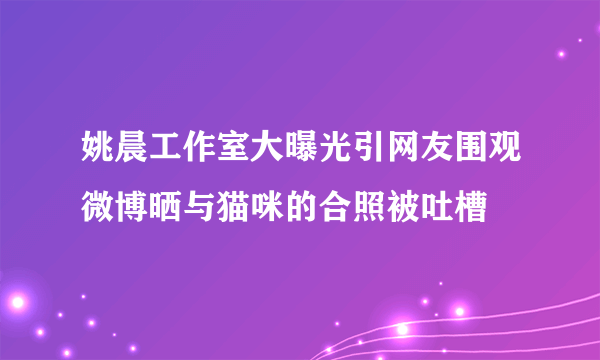 姚晨工作室大曝光引网友围观微博晒与猫咪的合照被吐槽