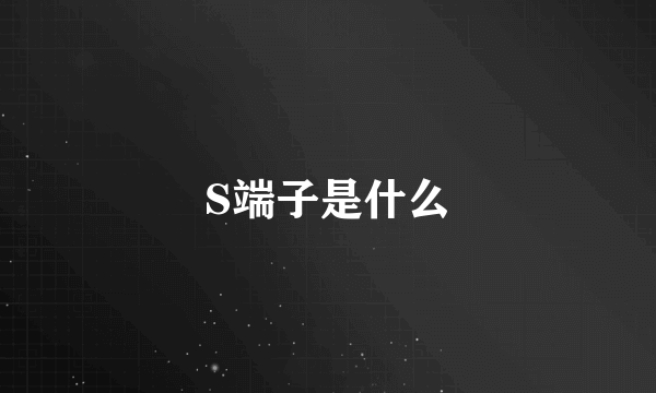 S端子是什么